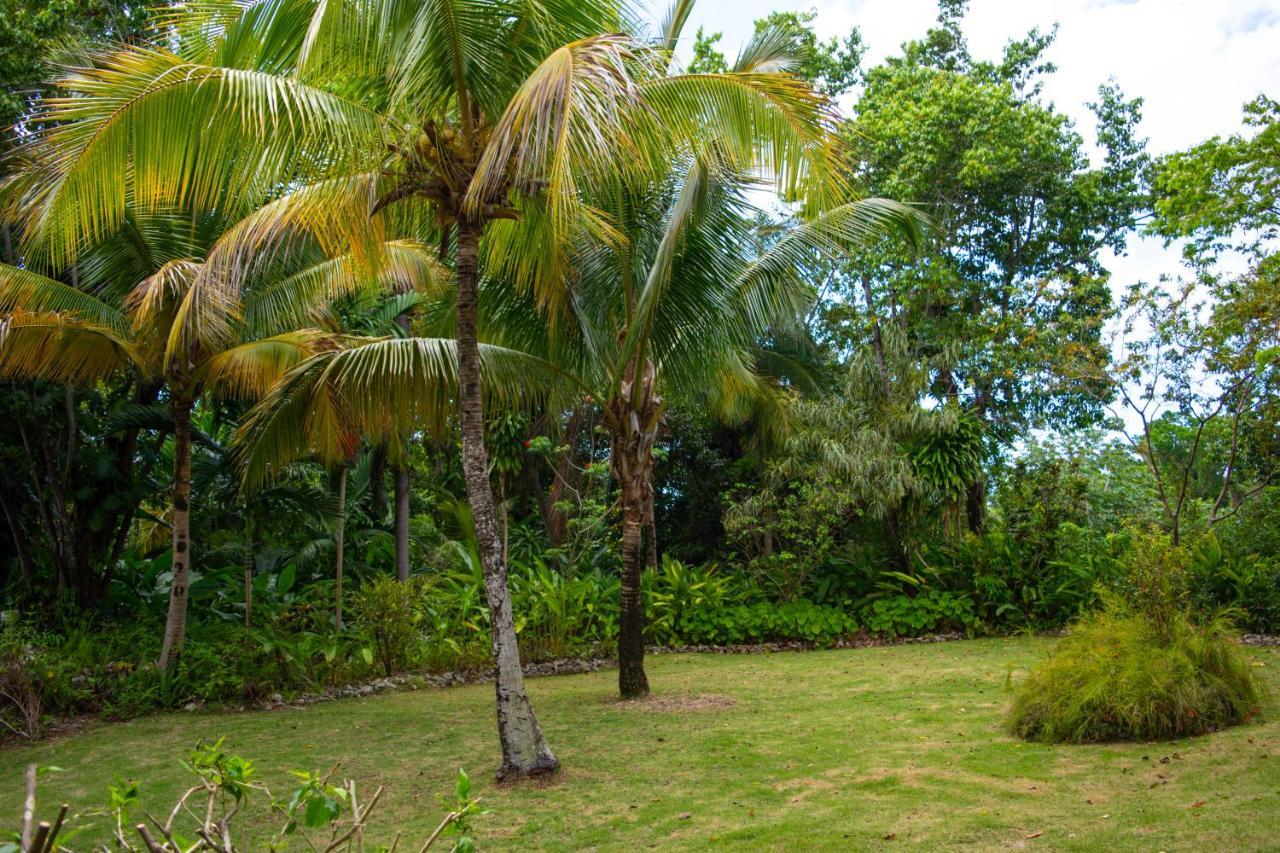 M Hotel Port Antonio Exterior foto